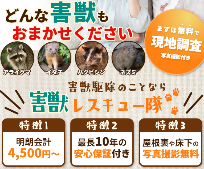 害獣レスキュー隊